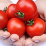 tomatoes health
