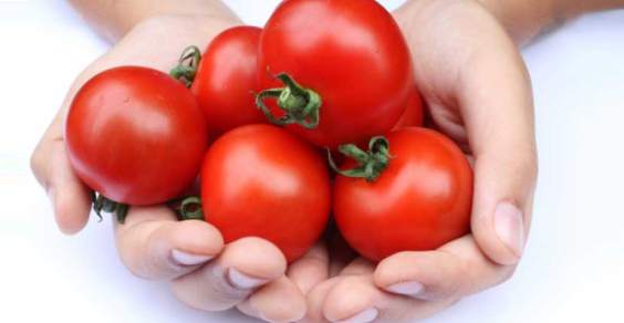 tomatoes health