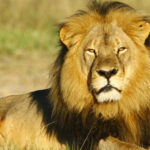 leone africa