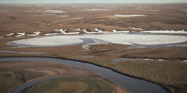 tundra siberiana PProkosch WWF