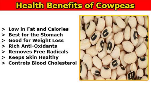 b2ap3_thumbnail_Health-Benefits-of-Cowpeas.jpg