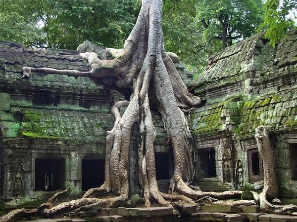 Angkor wat ta prohm.jpg.638x0 q80 crop smart