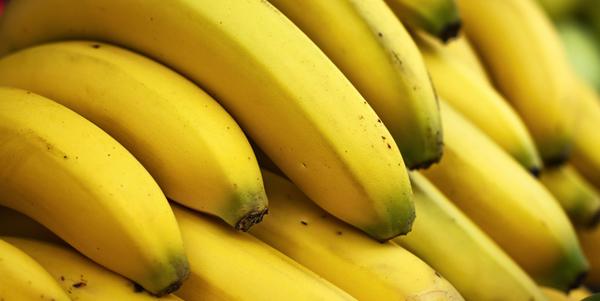 banane scomparsa estinzione