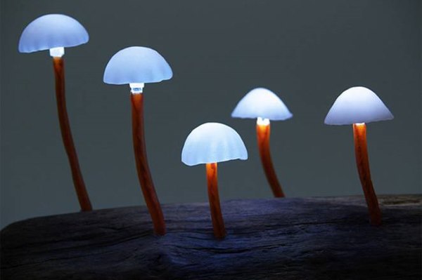 lampada fungo