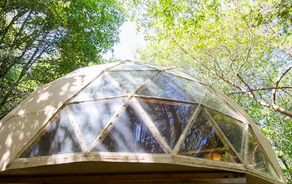 mushroom dome california 02