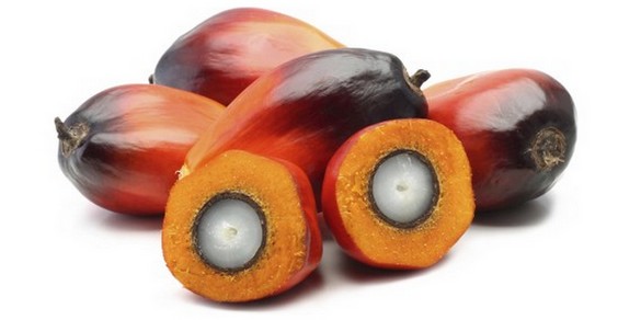olio di palma ministero salute