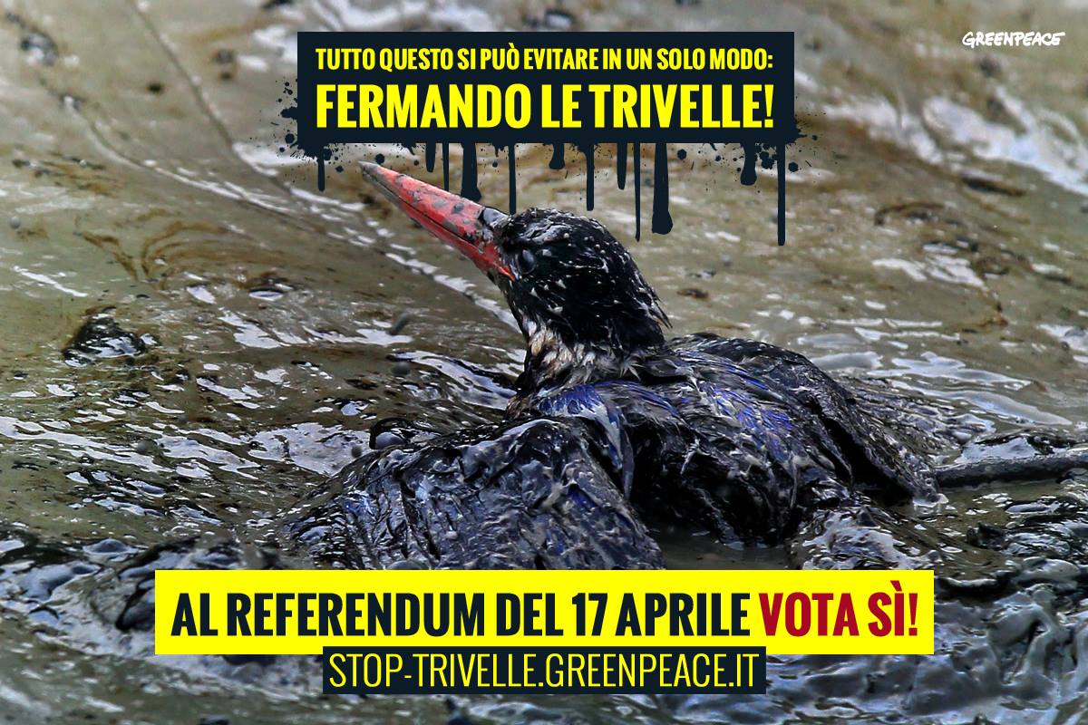 trivelle referendum greenpeace