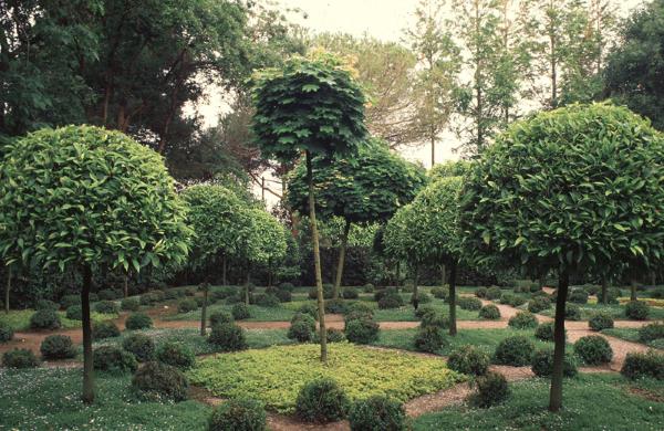giardini della landriana2
