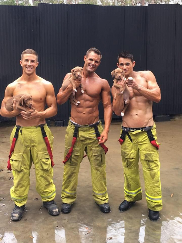 pompieri animali