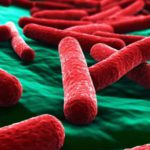 batteri resistenti antibiotici