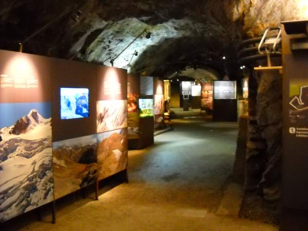 esposizione naturalistica nel bunker
