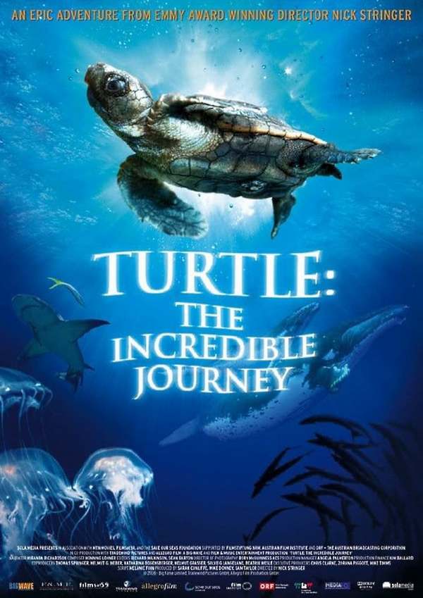 incredibile viaggio della tartaruga
