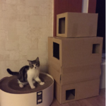 torre per gatti in cartone