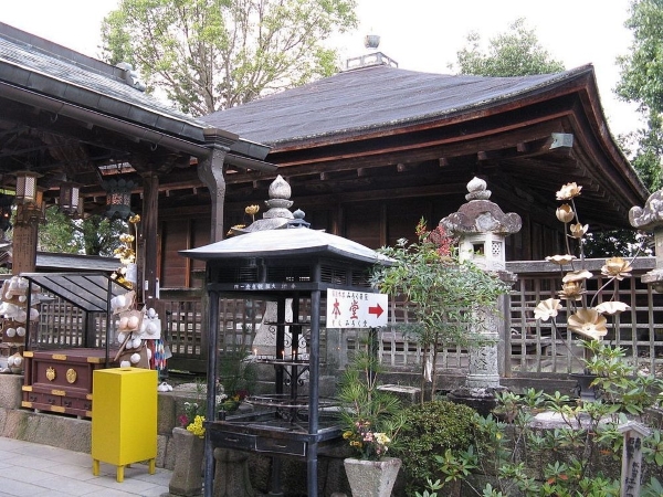 jison in temple 22