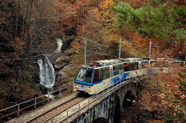 foliage treno