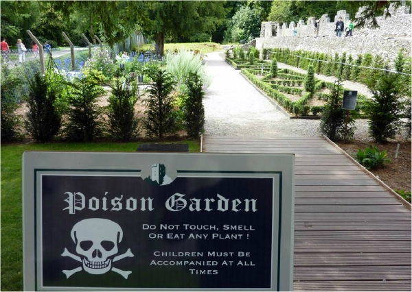 giardino dei veleni4