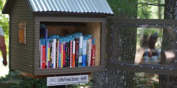 little free libraries cover