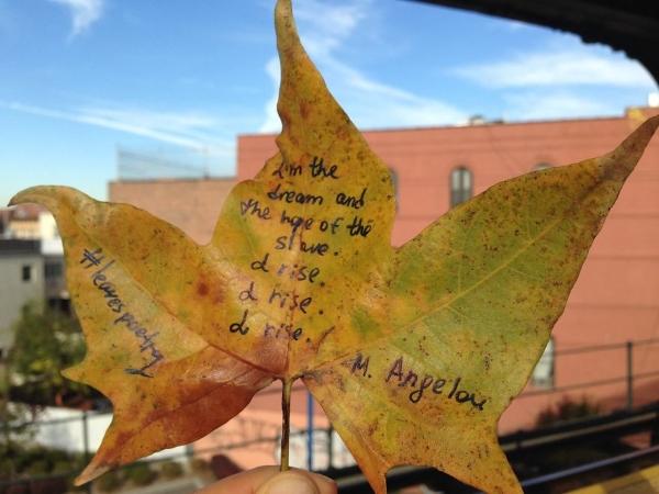 poesie sulle foglie4