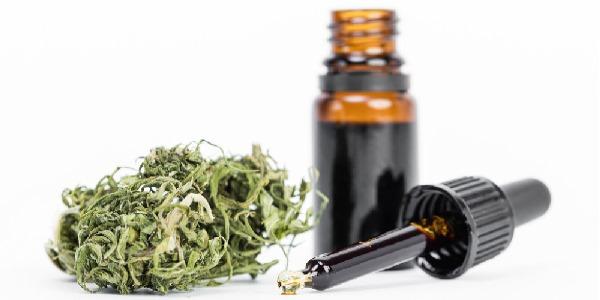 Cannabis terapeutica commercio