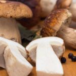 funghi porcini ricette