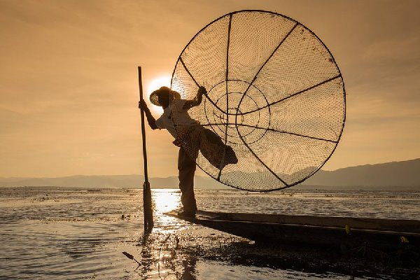 birmania pescatore