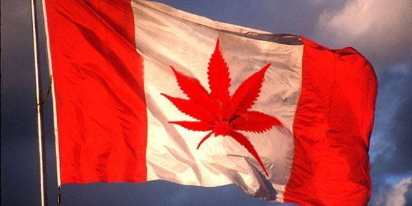cannabis Canada