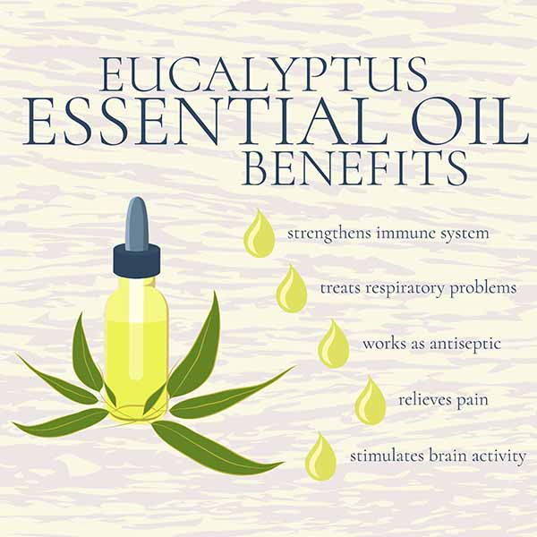 eucalipto olio benefici