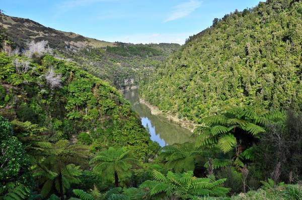 fiume whanganui2