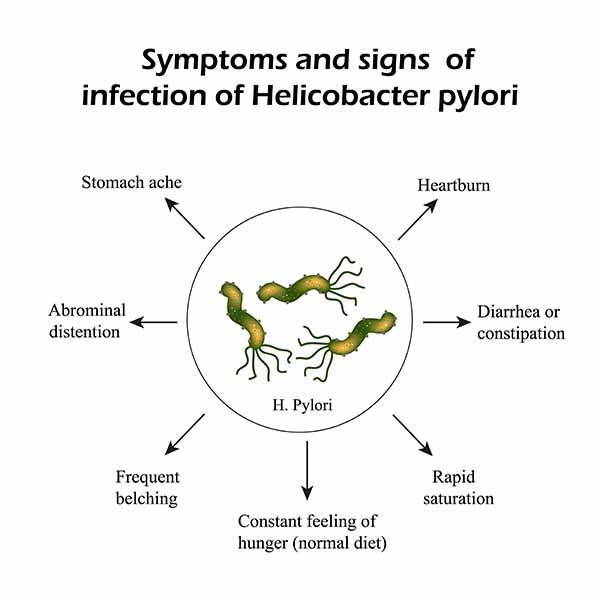 helicobacter sintomi