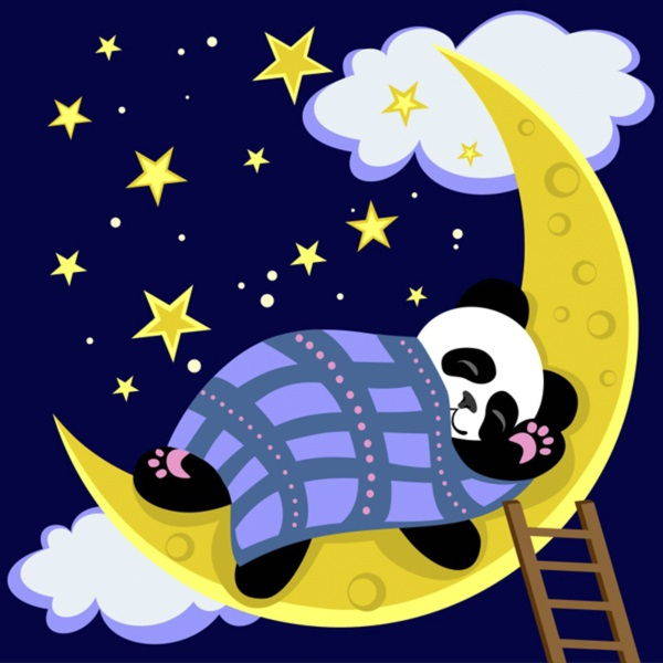 buona notte panda