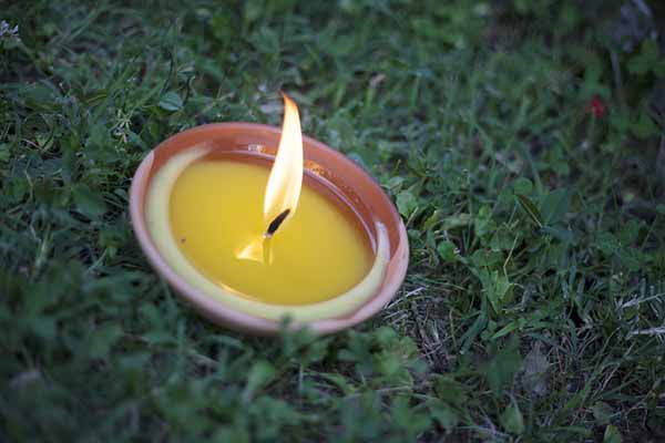 citronella candela