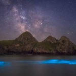bioluminescenza_galles