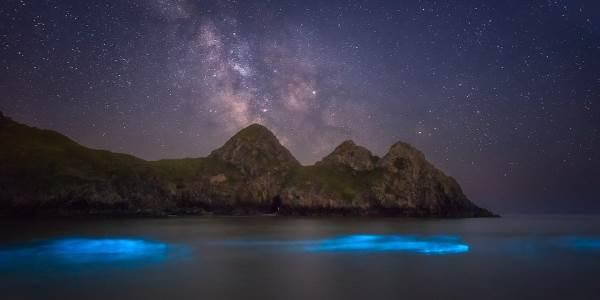 bioluminescenza_galles