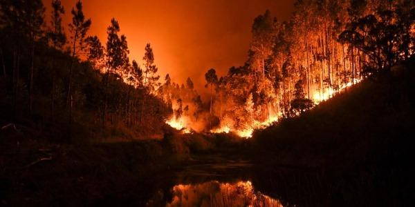 Portogallo incendi