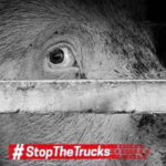stop-the-trucks