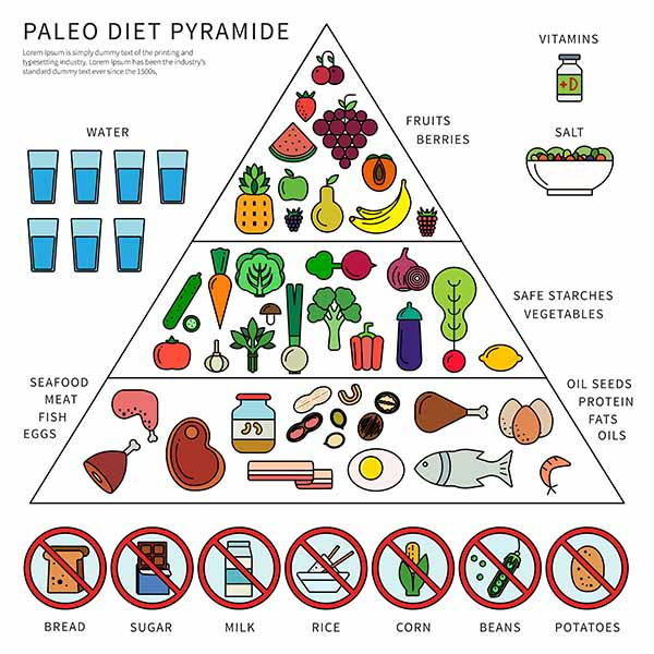 paleo dieta piramide
