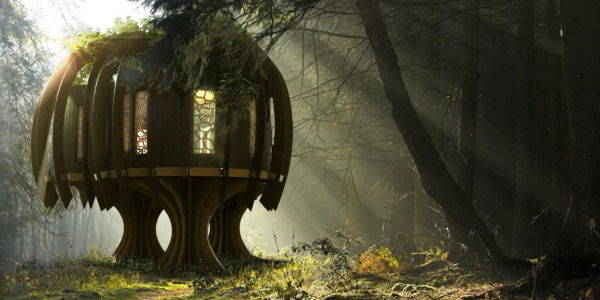 quiet treehouse