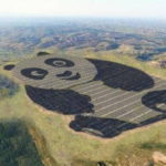 Solar Farm Panda