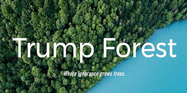 trump forest