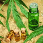 Cannabis terapeutica legge