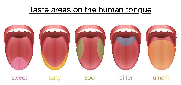 gusti bocca