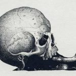 test lumaca cranio