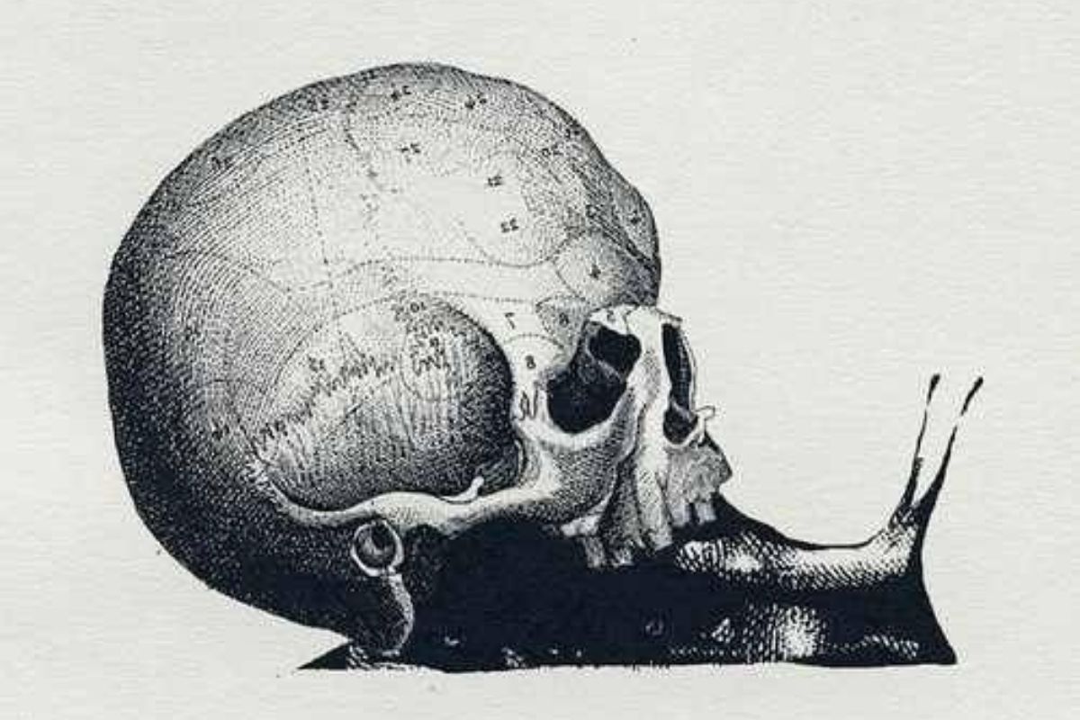 test lumaca cranio