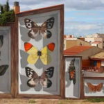 murales-farfalle
