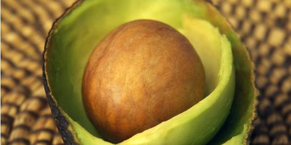 semi avocado
