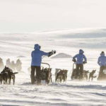 Viaggio nel circolo polare artico