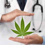 cannabis-terapeutica-oms