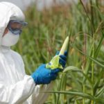pesticidi monsanto