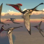 pterosauri