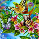 butterfly wallpaper high quality 728x450
